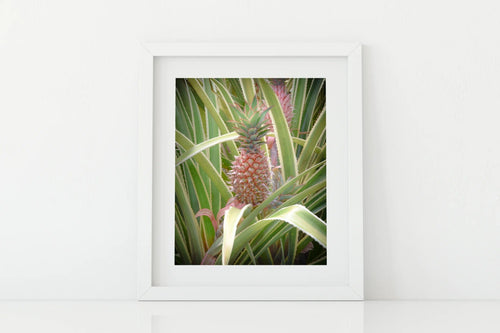 Butterfly in the Wind Home Hello Pineapple Art Print (5 x 7) graysgazette